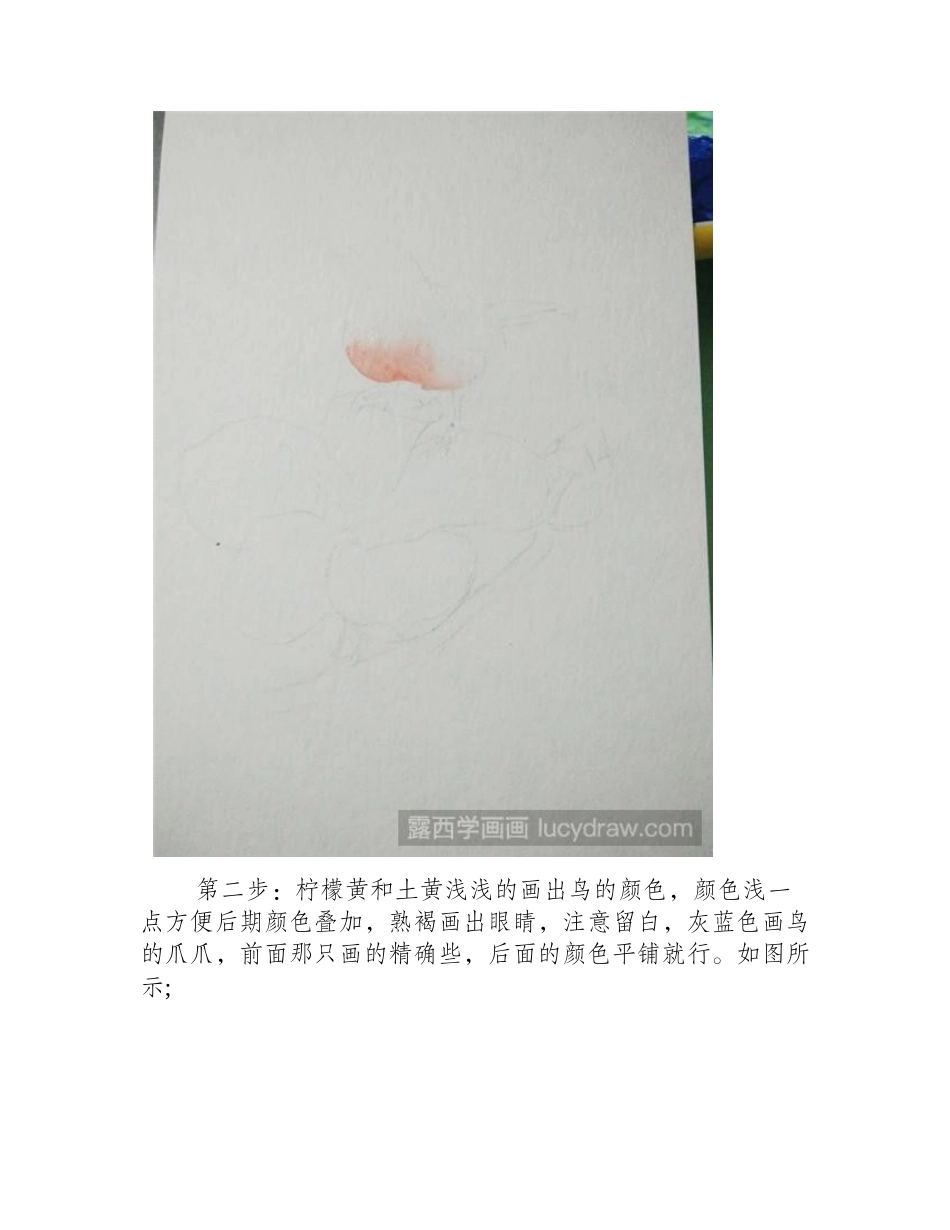木棉花和鸟儿水彩画教程水彩画教程_第2页