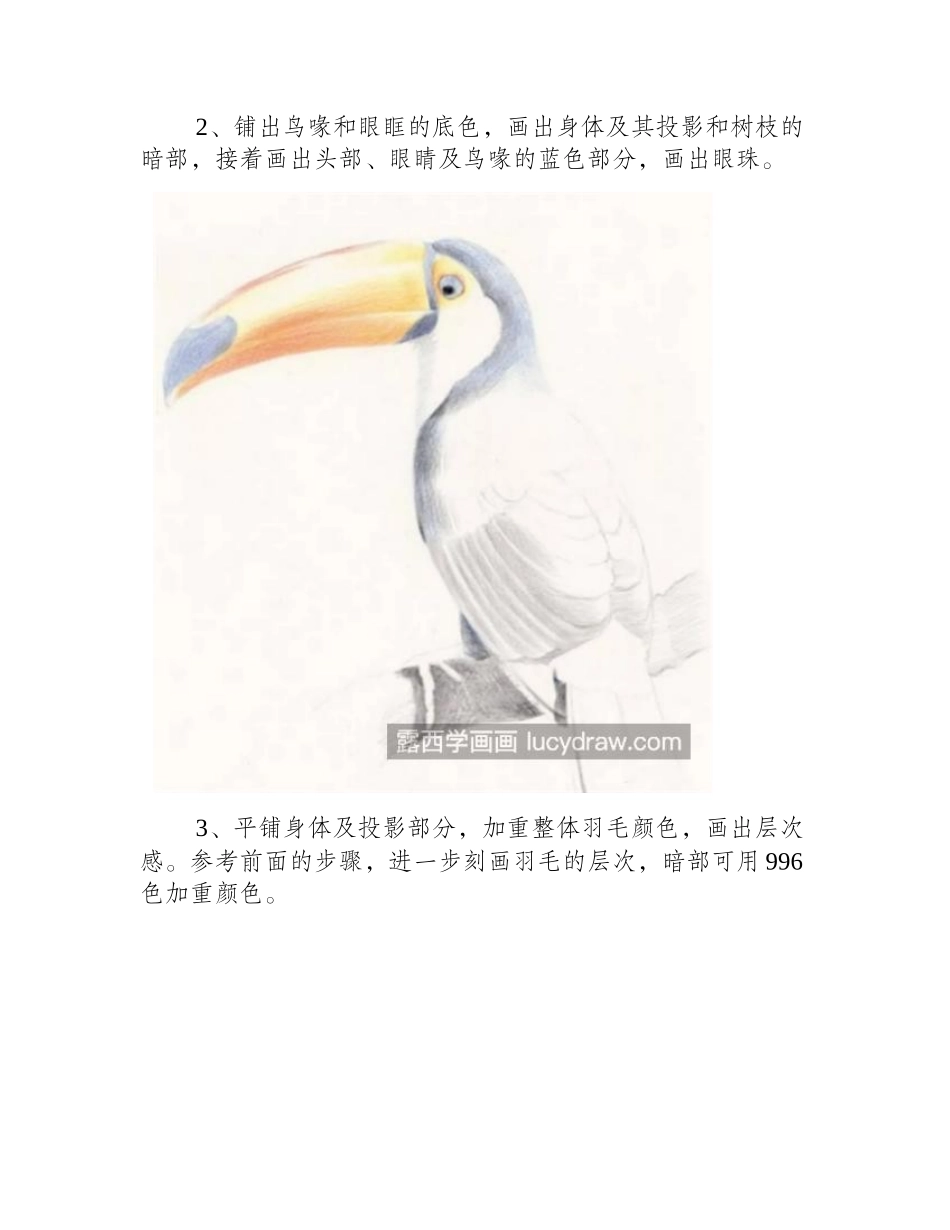 巨嘴鸟怎么画_有哪些绘画步骤_儿童画教程_第2页