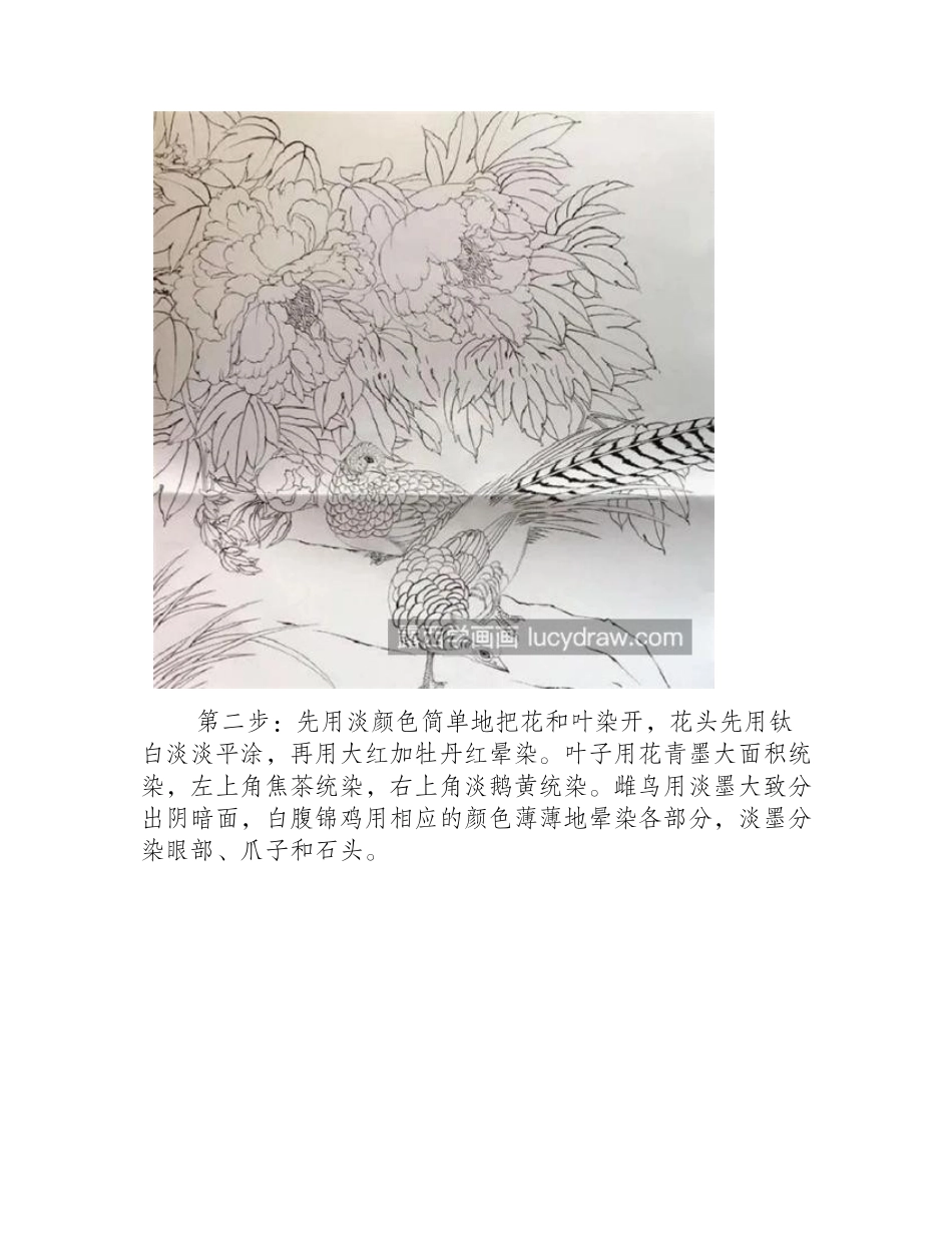 牡丹锦鸡怎么画_花开锦绣工笔画法是什么_工笔画教程_第2页