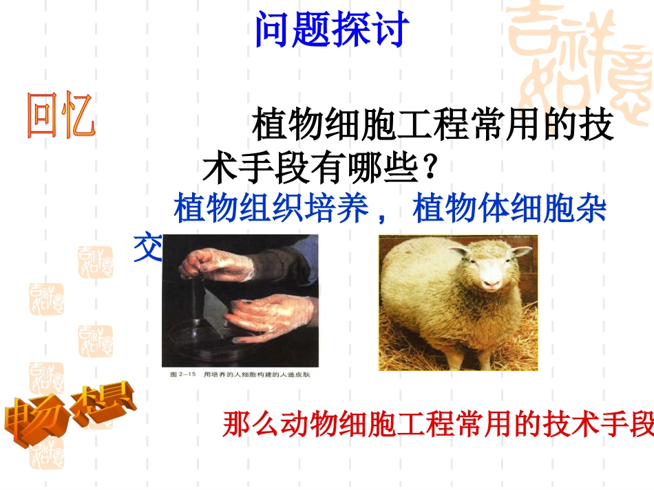 动物细胞培养和核移植技术1_第2页