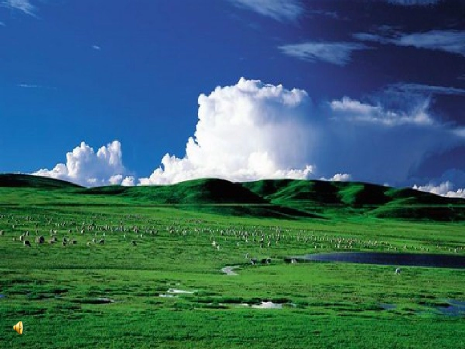 静默草原课件_第1页