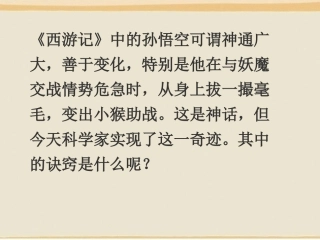 《奇妙的克隆》