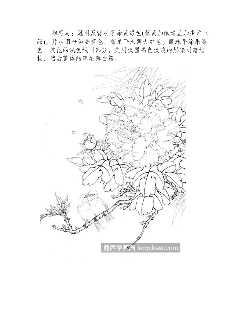 牡丹相思鸟怎么画_超级详细的工笔步骤分享工笔画教程_第2页