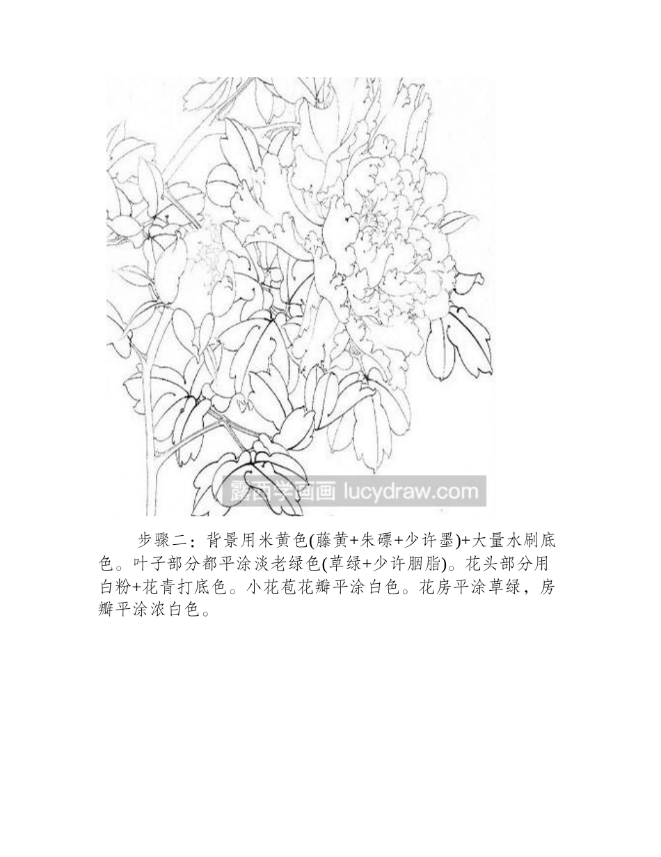 蓝牡丹的染色技法教程工笔画教程_第2页