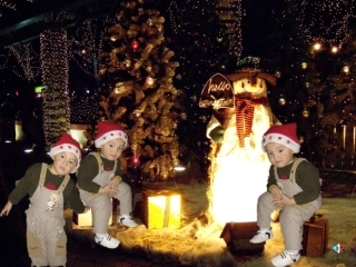 小学三年级上册语文第三十一课给予树PPT课件2