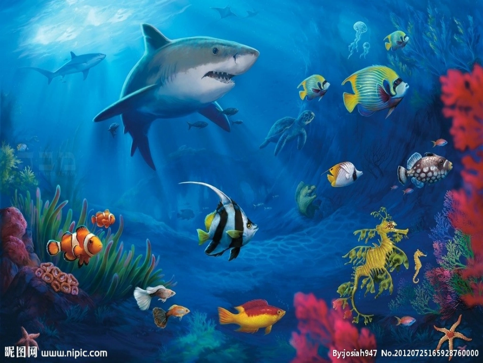 《海底世界》课件keyong_第3页