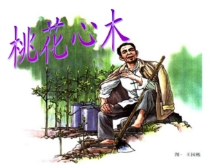 《桃花心木》教学课件2