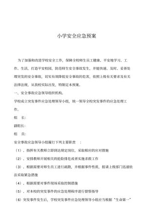 2019年小学安全应急预案