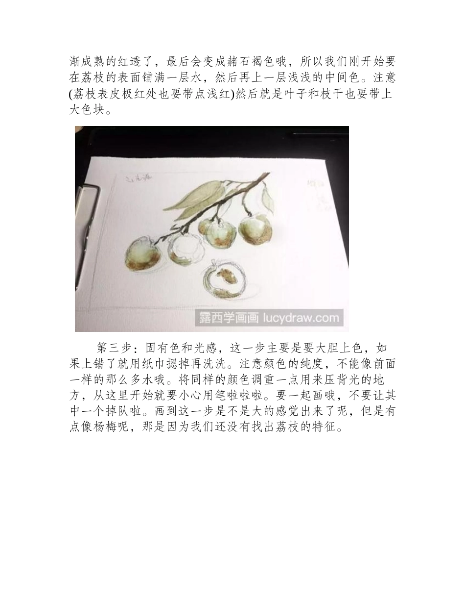 荔枝水彩画步骤水彩画教程1_第2页