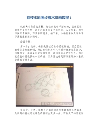 荔枝水彩画步骤水彩画教程1