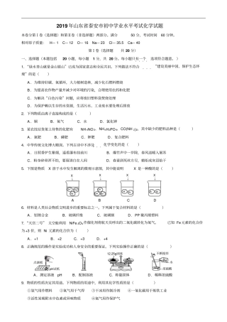 2019年山东泰安中考化学试题版,含答案