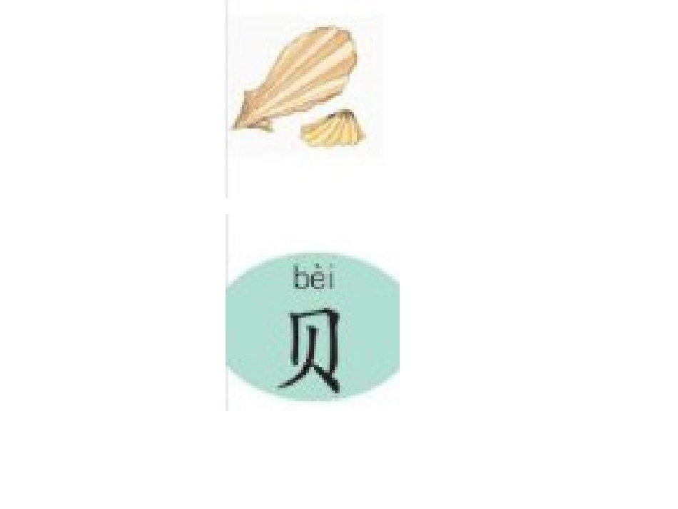 认一认2 (2)_第2页
