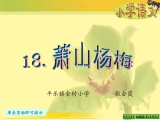 萧山杨梅课件