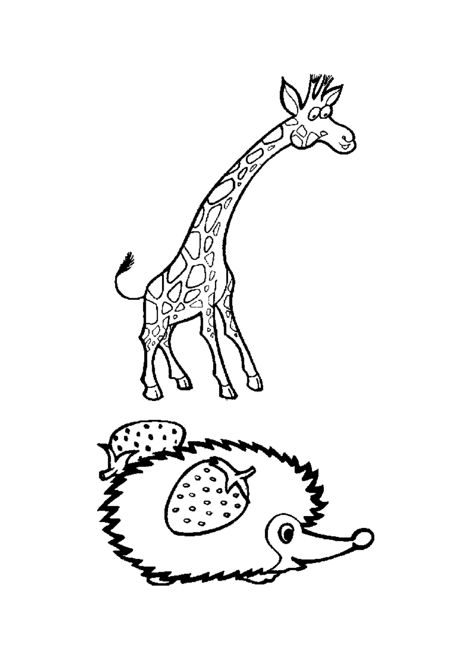 张动物简笔画_第2页