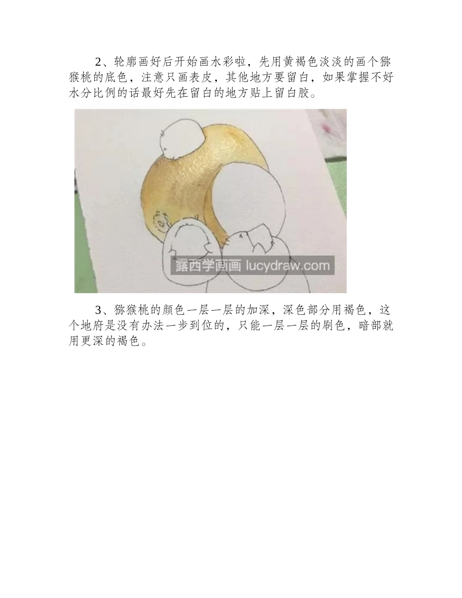 猕猴桃怎么画_具体的水彩画步骤有哪些_水彩画教程_第2页