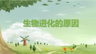 人教版八下第三章第三节生物进化的原因（共14张PPT）
