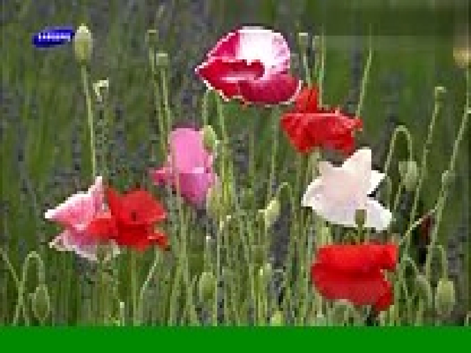 花里的育婴房_第2页