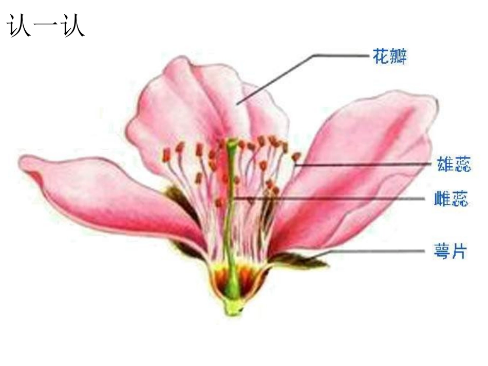 花里的育婴房_第3页