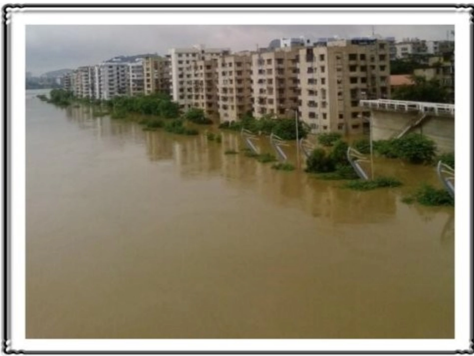 《条形统计图》课件_第3页