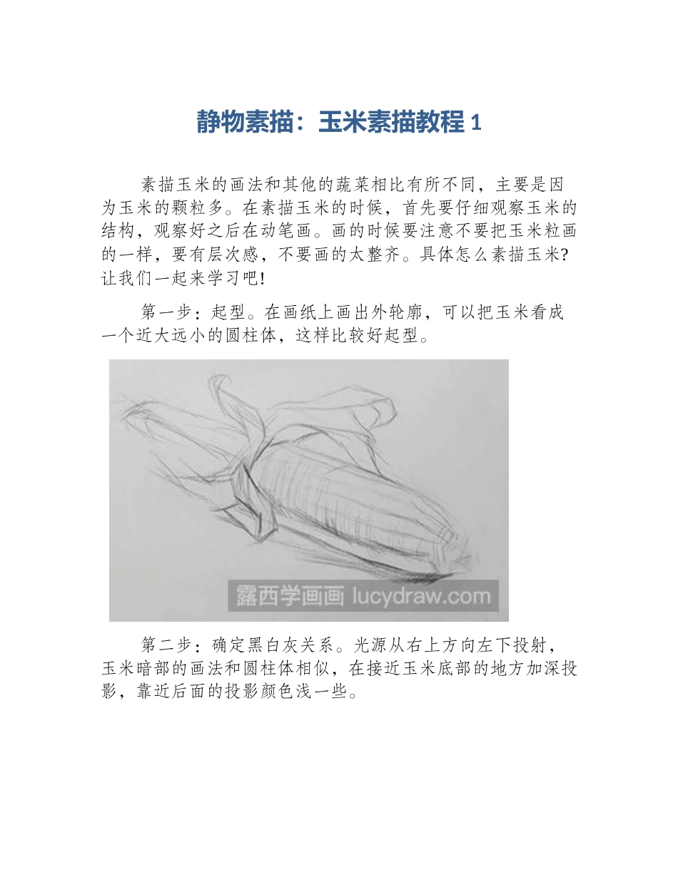 静物素描：玉米素描教程1_第1页