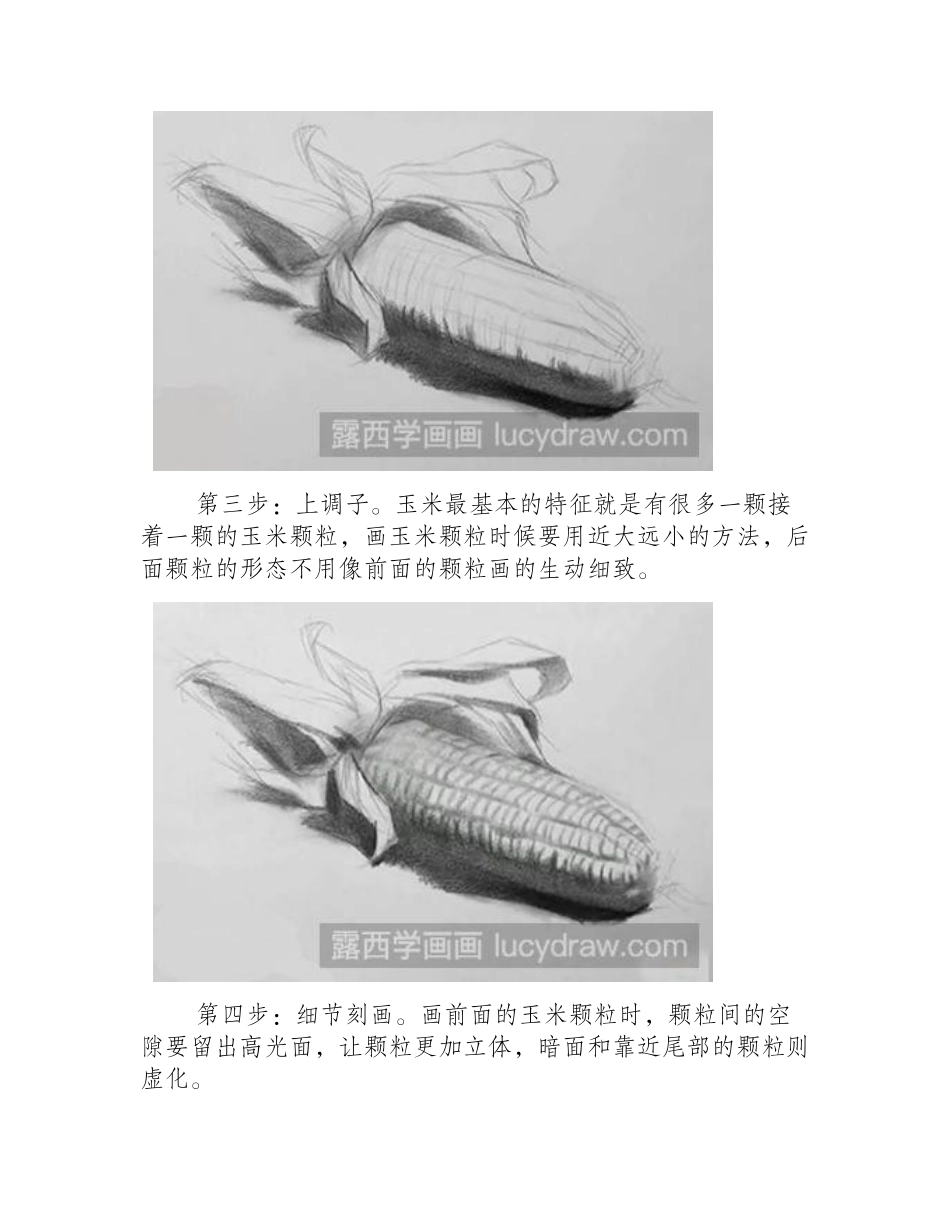 静物素描：玉米素描教程1_第2页