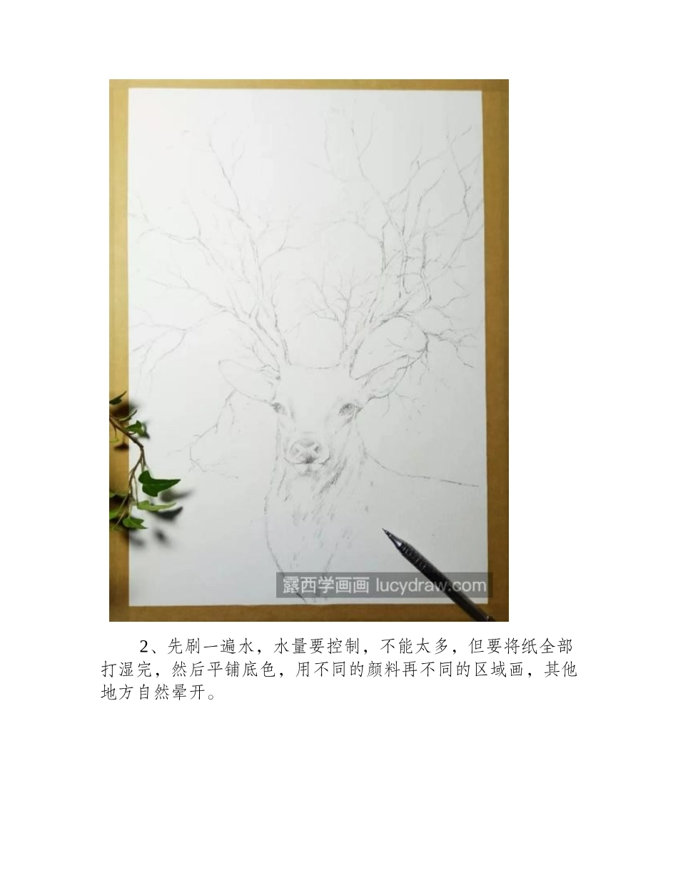 麋鹿怎么画_绘画步骤有几步_水彩画教程_第2页