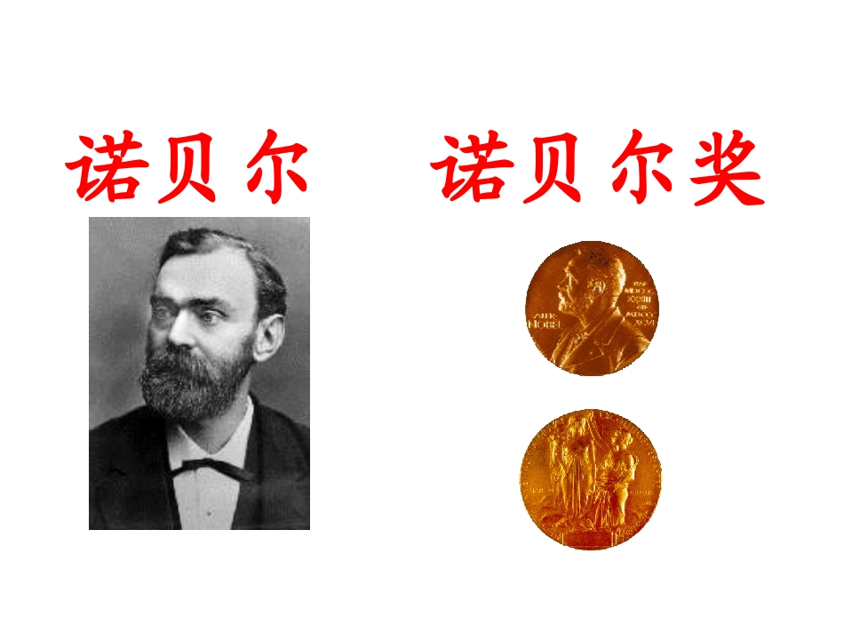 《诺贝尔》课件_第2页