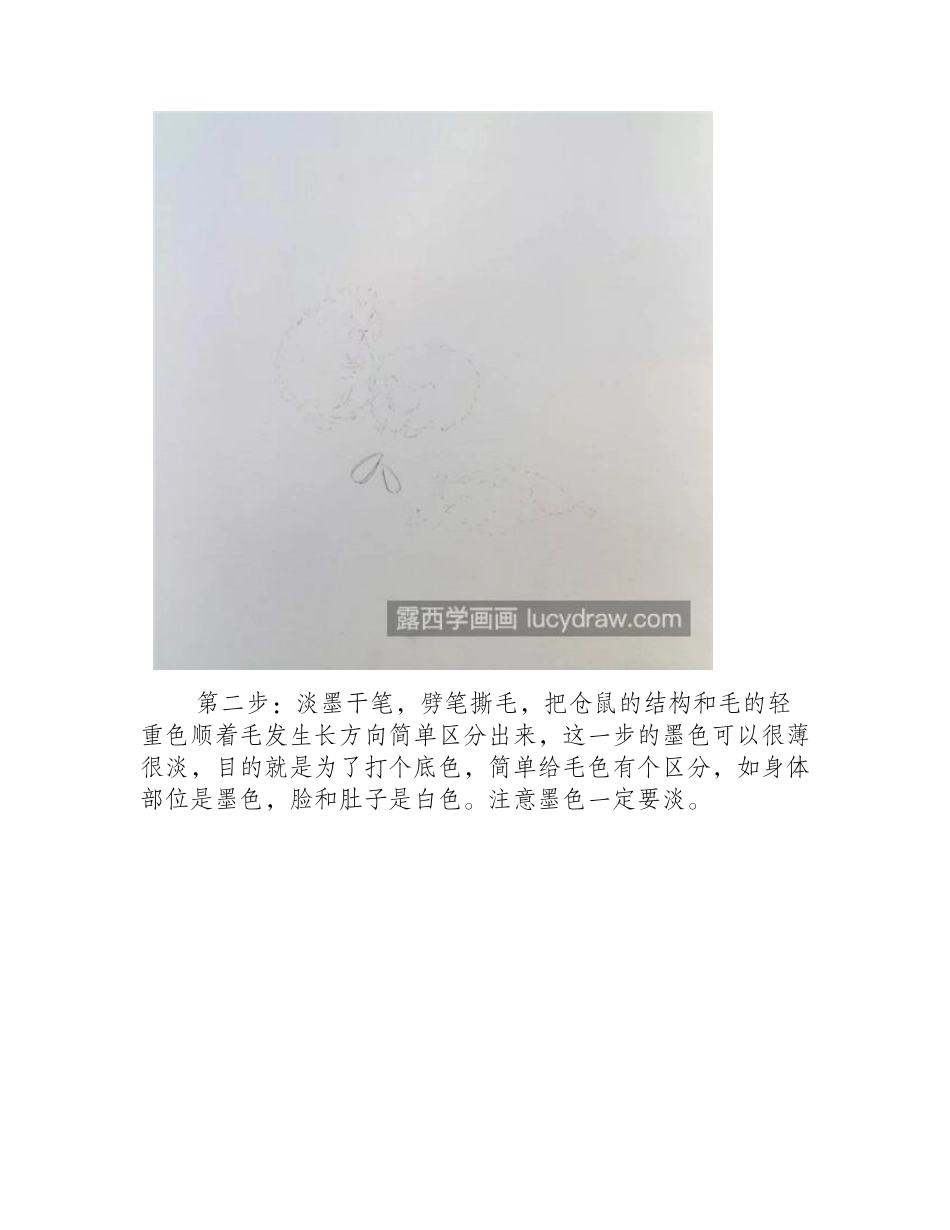 嗑瓜子的小仓鼠怎么画_三只仓鼠的形态如何构造_工笔画教程_第2页