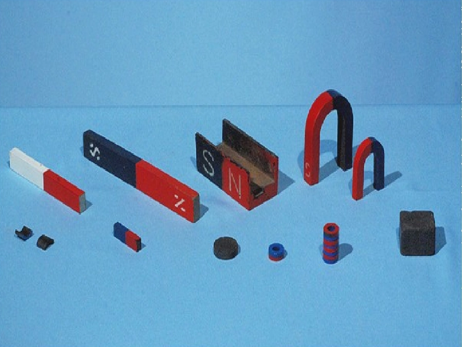 _姚德彬三年级科学课件_第2页