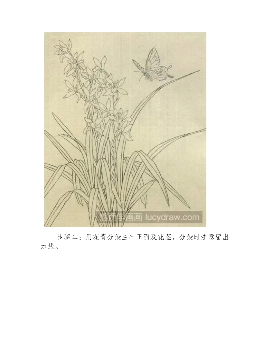 兰花国画教程国画教程_第2页