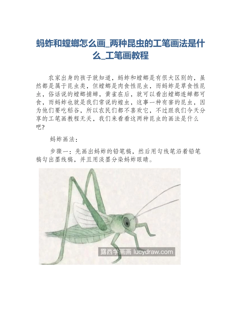 蚂蚱和螳螂怎么画_两种昆虫的工笔画法是什么_工笔画教程_第1页