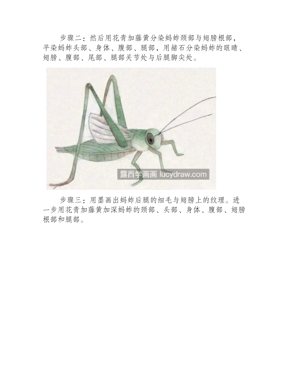 蚂蚱和螳螂怎么画_两种昆虫的工笔画法是什么_工笔画教程_第2页