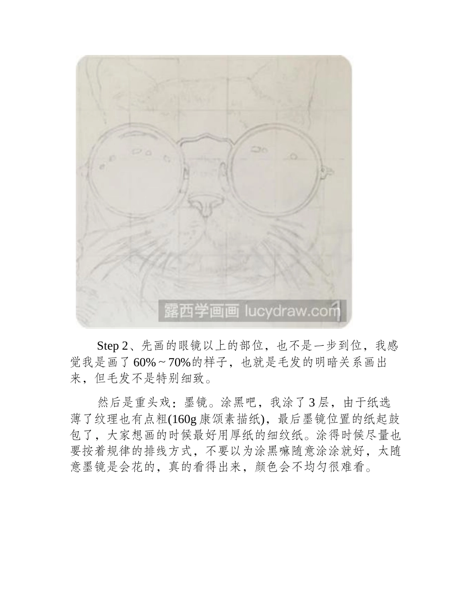 猫的圆珠笔画法钢笔画教程_第2页