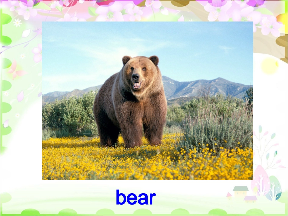六年级Unit3AtthezooALet'slearn课件_第3页