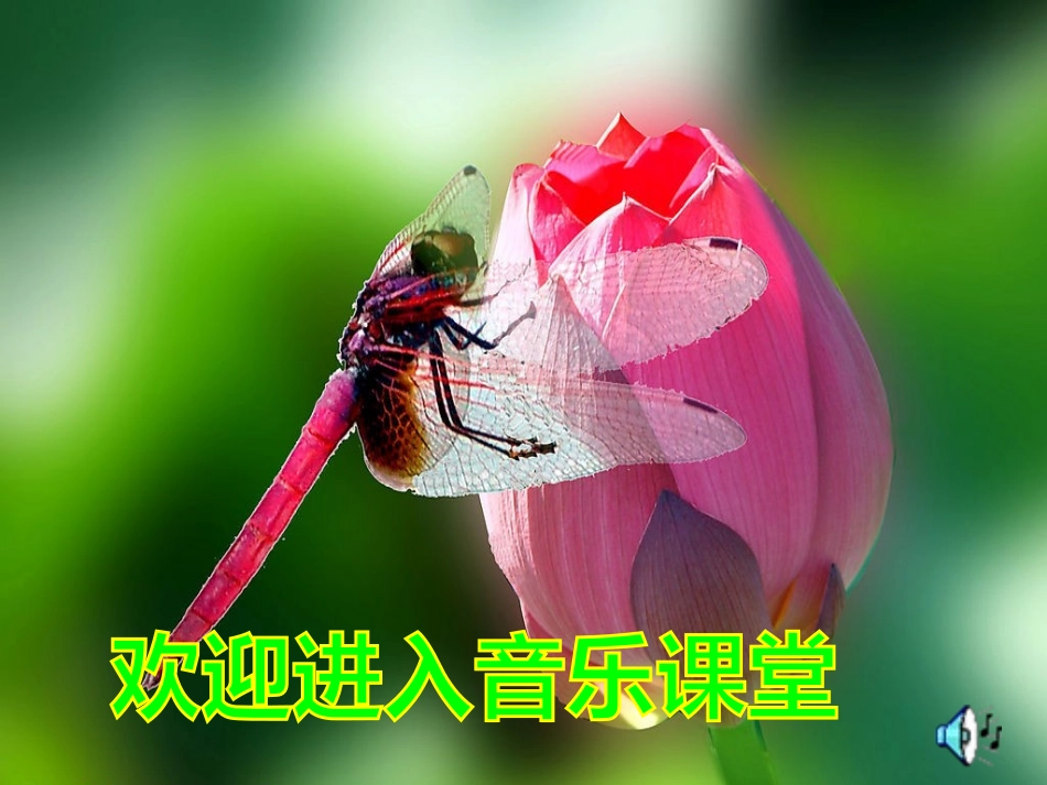 五年级上册《红蜻蜓》_第1页