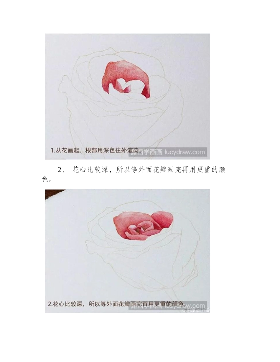 玫瑰水彩画教程图解水彩画教程_第2页