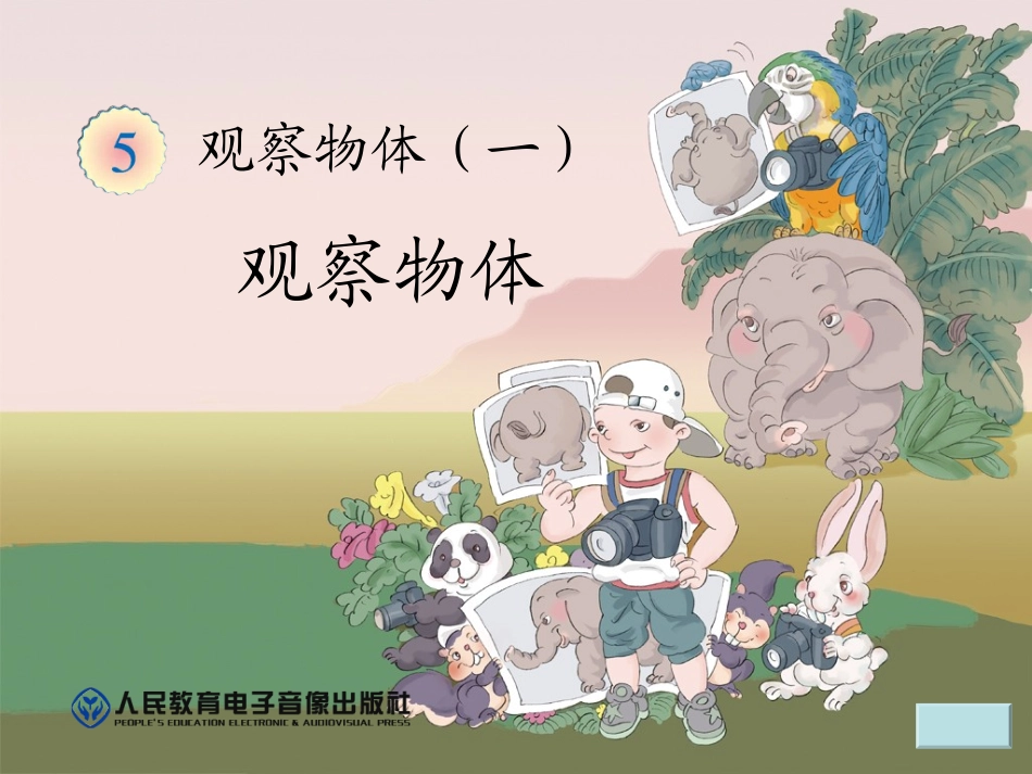 二年级观察物体_第1页