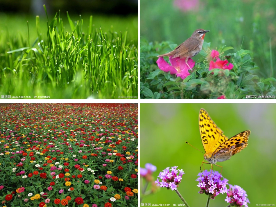 四季童趣课件_第3页