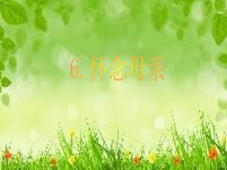 怀念母亲 (3)