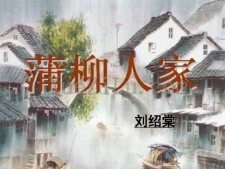 《蒲柳人家》