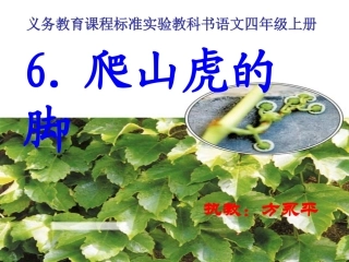 四语上6爬山虎的脚课件