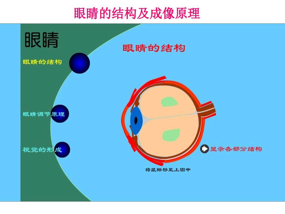 《眼睛与眼镜》课件4_第3页