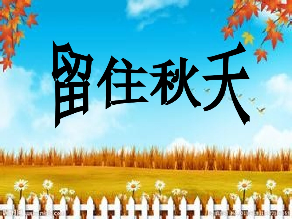 美术活动课件《留住秋天》_第1页