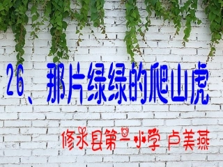 《那片绿绿的爬山虎》-卢美燕