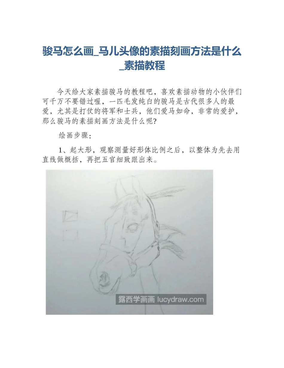 骏马怎么画_马儿头像的素描刻画方法是什么_素描教程_第1页