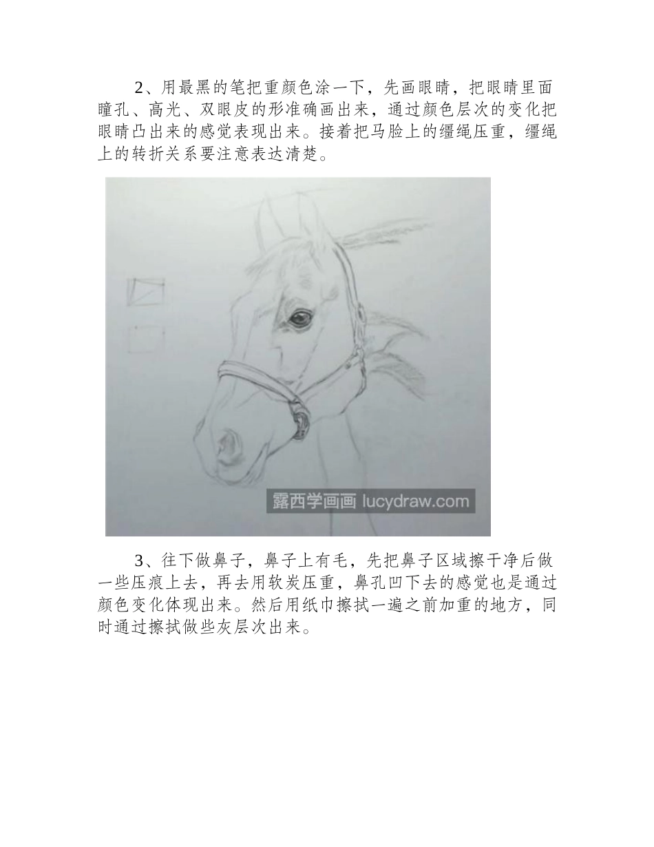 骏马怎么画_马儿头像的素描刻画方法是什么_素描教程_第2页