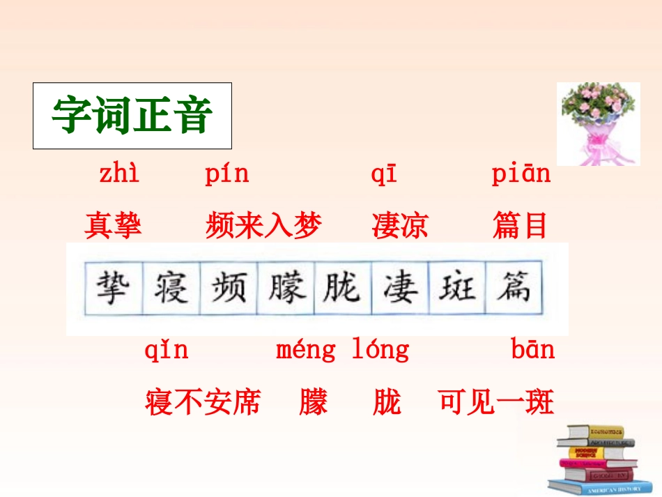 六年级语文上册_怀念母亲课件_人教新课标版_第3页
