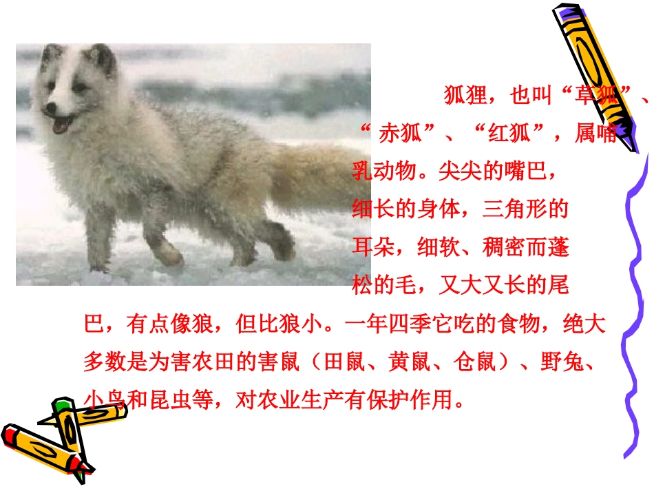 狐狸和乌鸦3_第2页