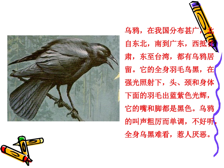 狐狸和乌鸦3_第3页