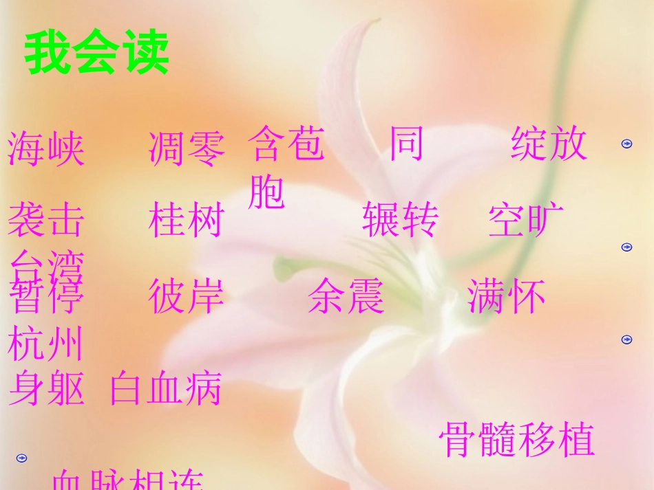 跨越海峡的生命桥 (4)_第2页